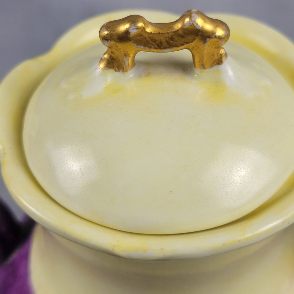 Antique Limoges NVC Portrait Sugar Bowl Jonquil Yellow & Purple Art Nouveau17