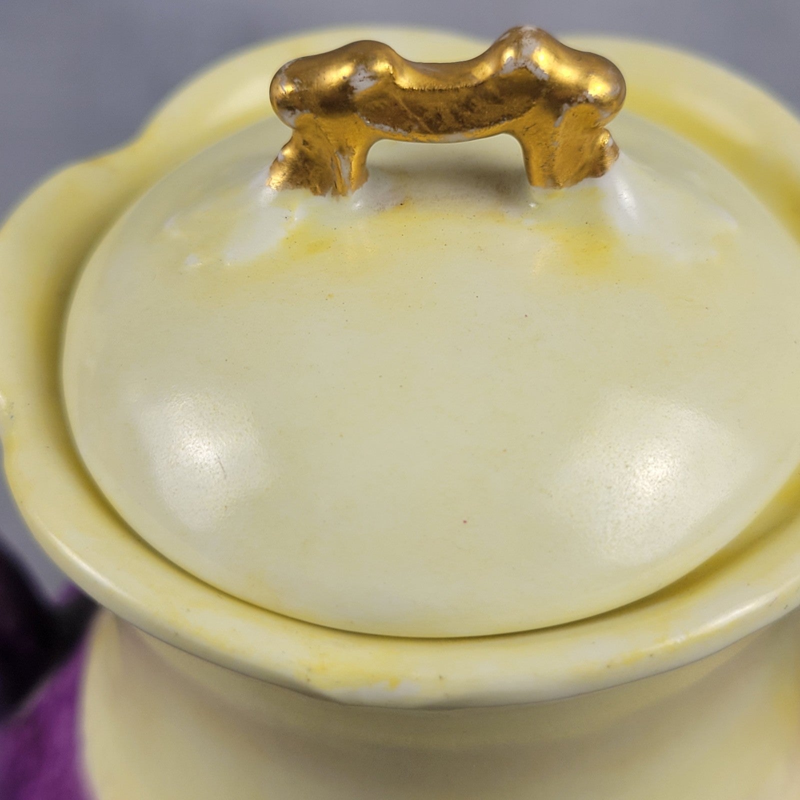 Antique Limoges NVC Portrait Sugar Bowl Jonquil Yellow & Purple Art Nouveau17