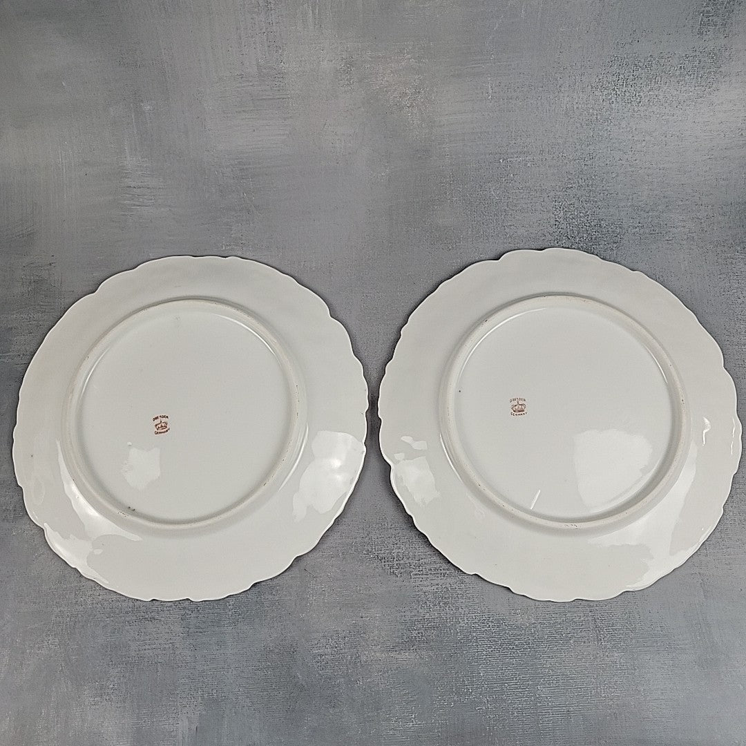 Antique Dresden Germany Hand Painted Rose Plates Gold Gilt Rococo Pair 8”14